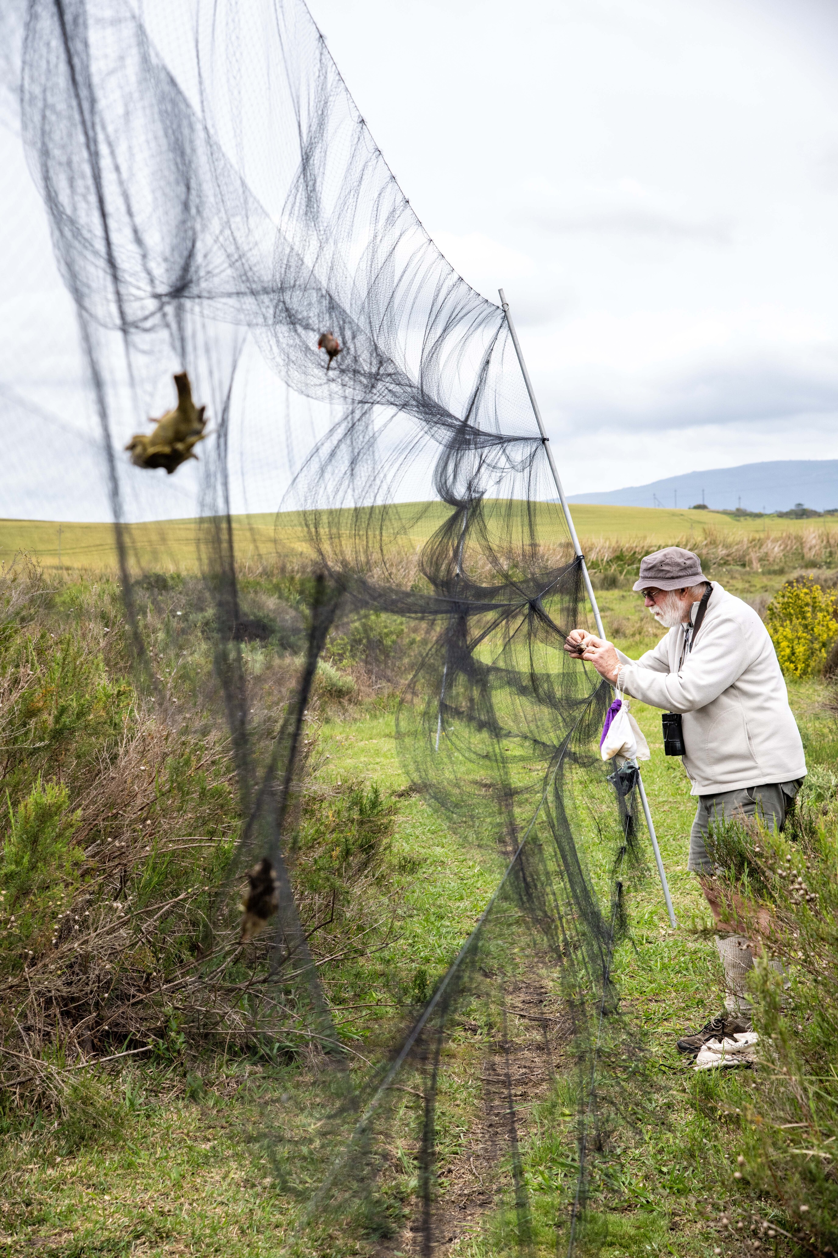 Bird ringing – bringing knowledge and delight | GroundUp